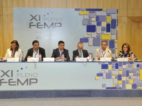 XI pleno de la FEMP
